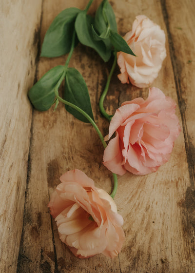 Apricot Lisianthus stems on table