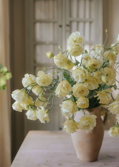 Lisianthus in vase on table